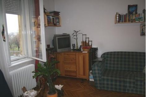 kerepesi2.jpg
