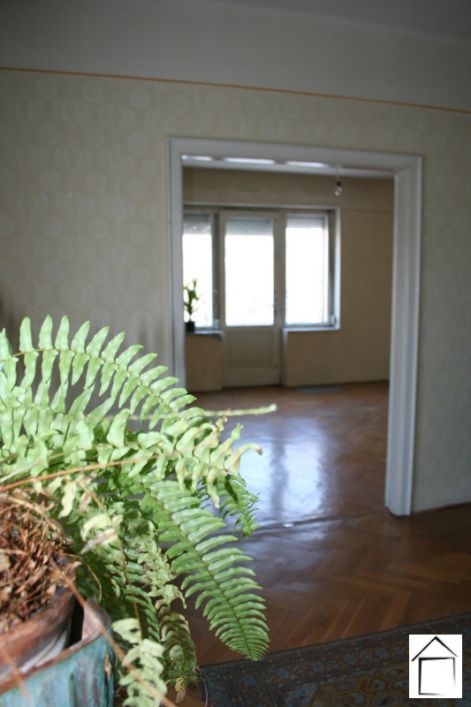 pasaret.jpg